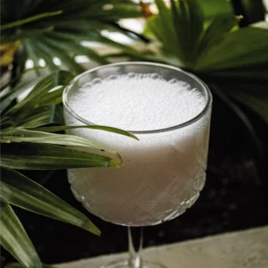 Coconut Vibe Cream